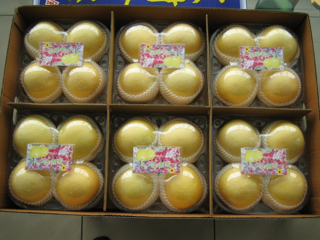 Golden Fuji apple